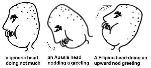 More cultural differences between Aussies and Filipinos