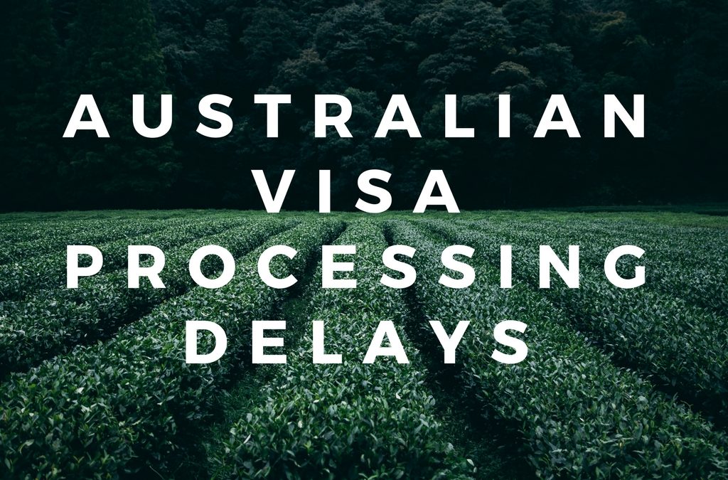 What can we do about Australian visa processing delays?